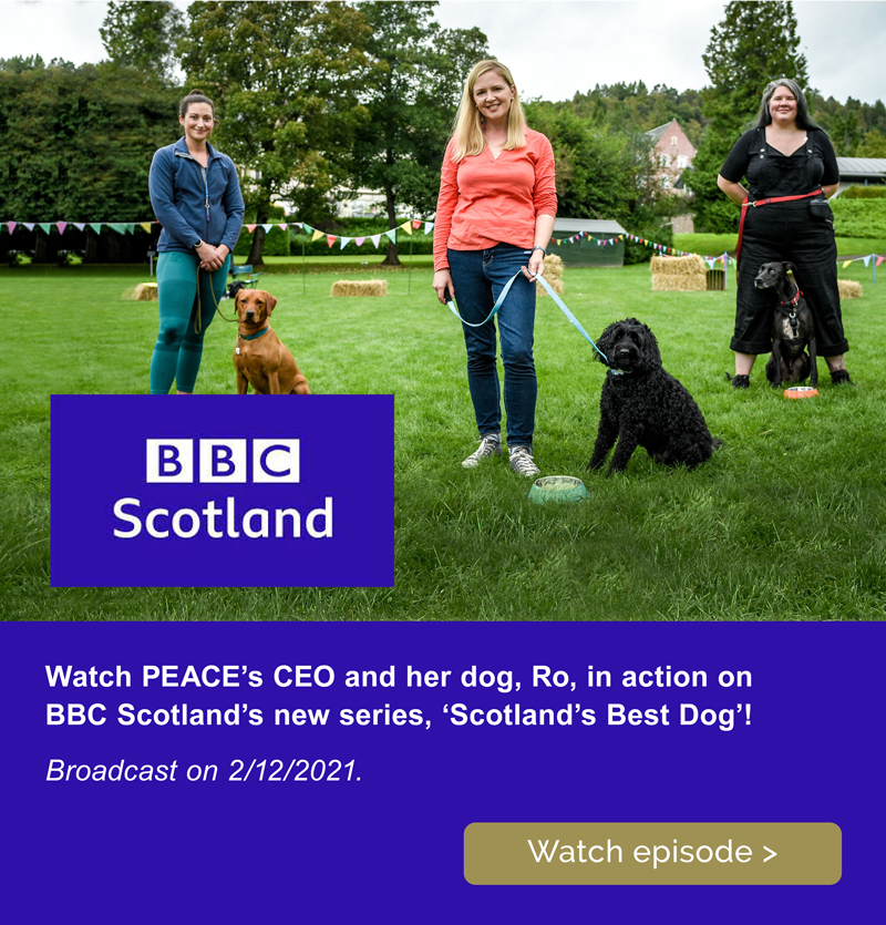 bbc Scotland's Best Dog mobile