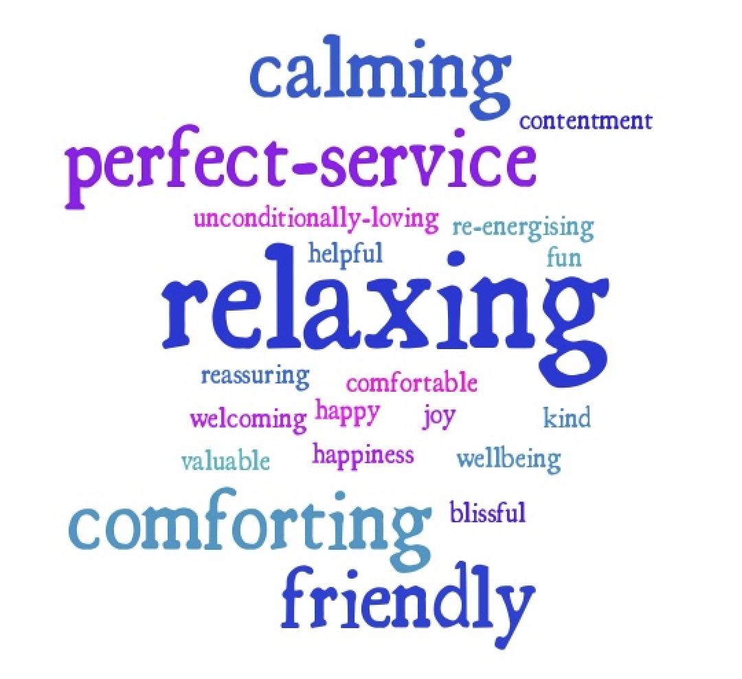 2025 05 16-Survey Feedback Visual-Sj PEACE service uesrs' feedback